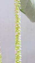 Load image into Gallery viewer, Green Small Flower Floral Garland (PIFG SB FF)
