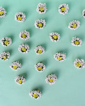 Load image into Gallery viewer, Winter Bride Rings for Favors
